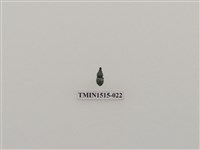 藏品(鞘翅目(一))的圖片